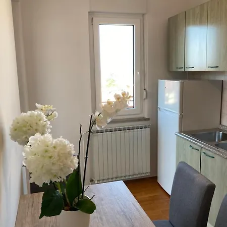 Apartment Bellevue
