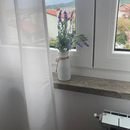 Bellevue Apartment *