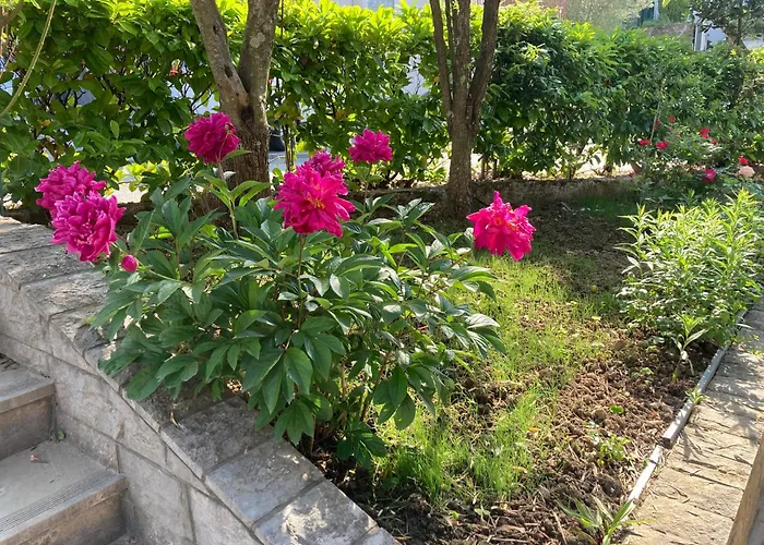 アパート Bellevue *